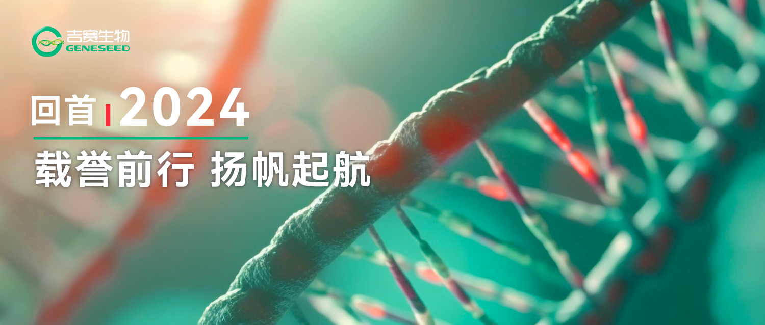 回首2024丨“吉”岁揽胜景，“赛”绩谱新篇