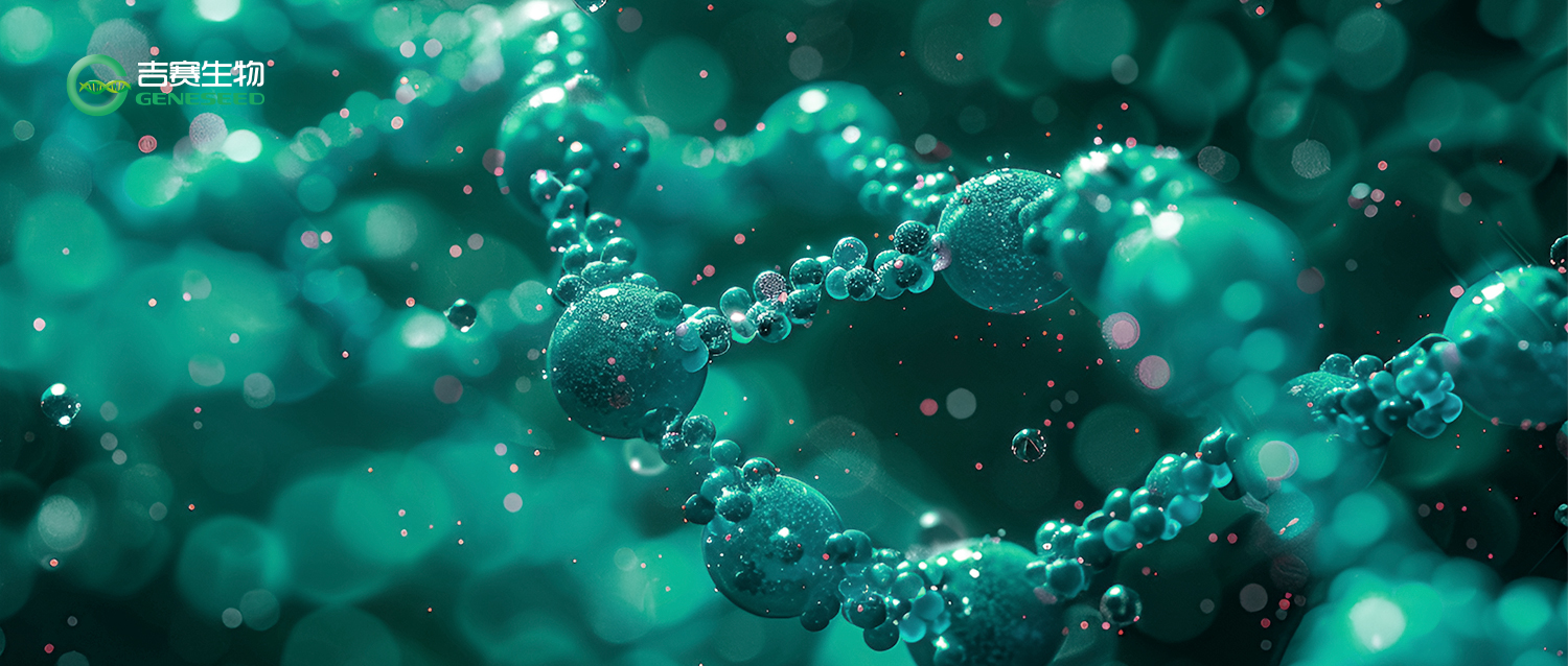 国际认可！环状RNA合成技术斩获美国发明专利授权
