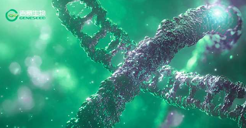 分子互作数据库/预测工具+验证神器，高效锁定候选靶标，告别徒手大海捞针！