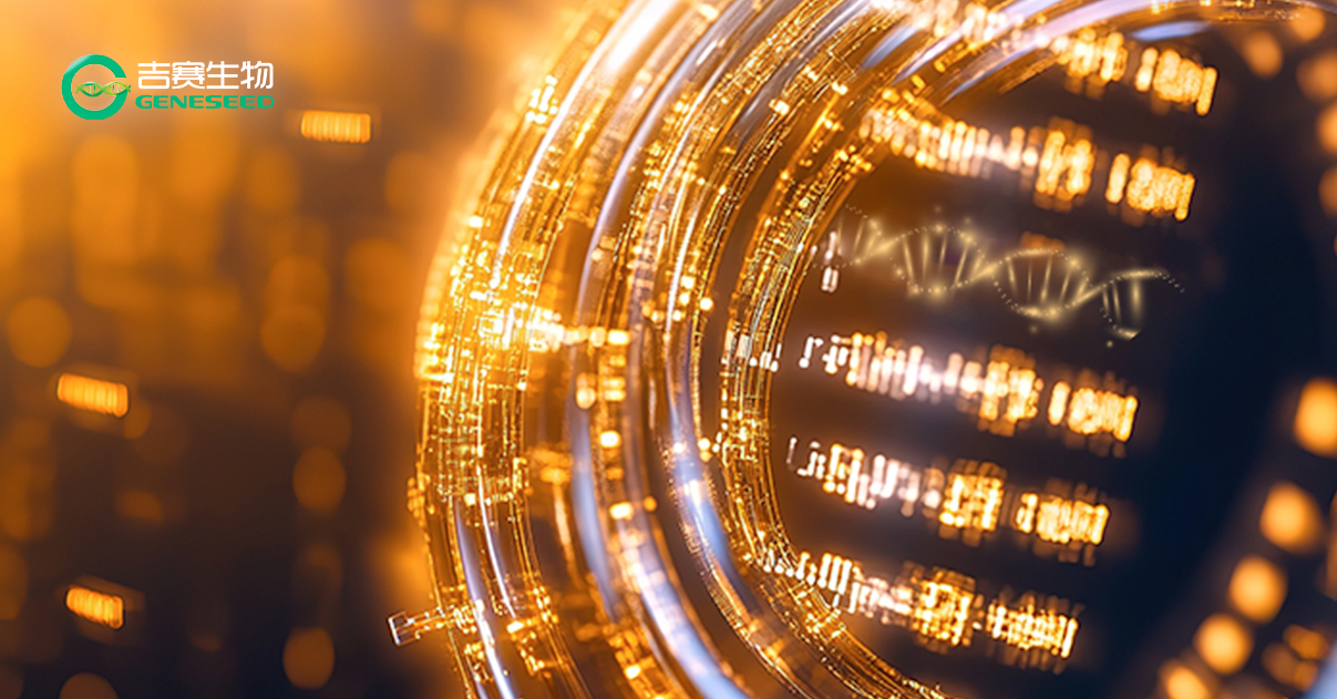 环环相扣，双核驱动：环状单链DNA合成服务重磅上线！打造环状核酸多元化平台！
